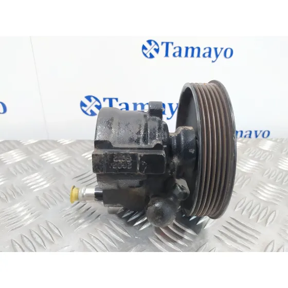 Bomba Direccion para Renault Kangoo (F/Kc0)