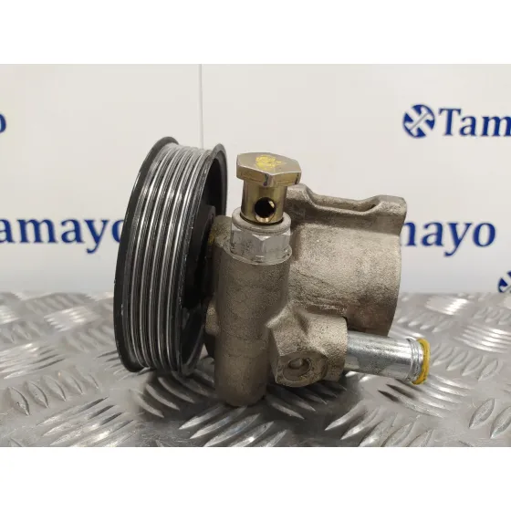 Bomba Direccion para Volkswagen Golf Iv Berlina (1J1)