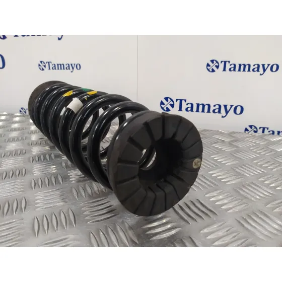 Muelle Amortiguacion para Hyundai Ioniq