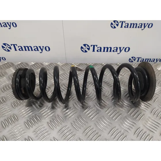 Muelle Amortiguacion para Hyundai Ioniq