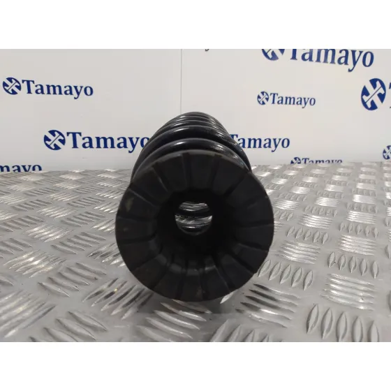 Muelle Amortiguacion para Hyundai Ioniq