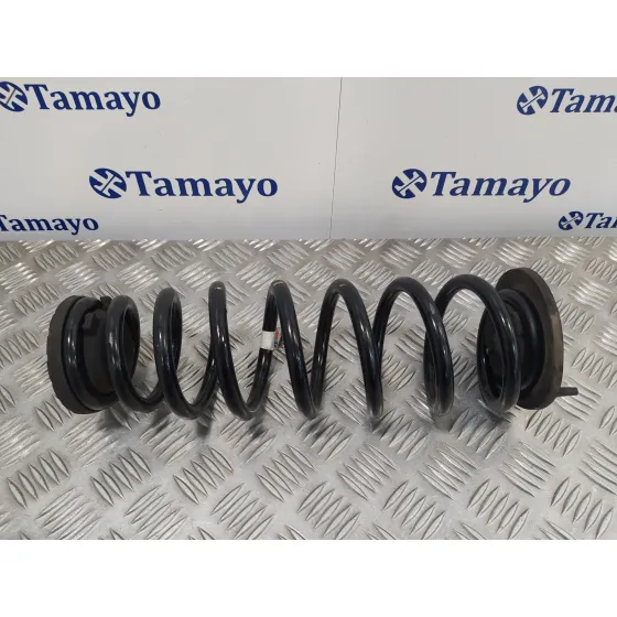 Muelle Amortiguacion para Hyundai Ioniq