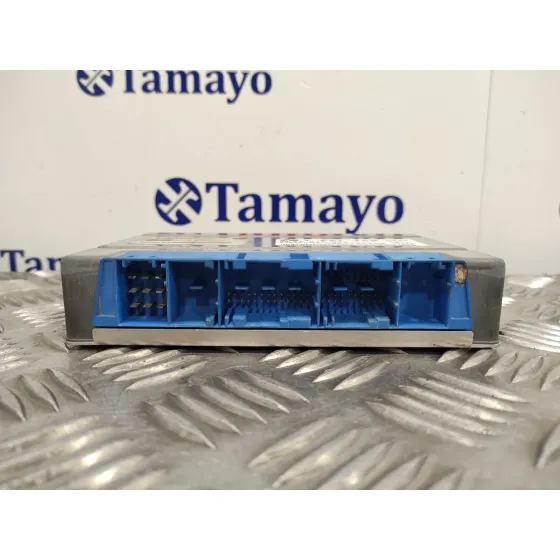 Centralita Cambio Automatico para Bmw Serie 5 Touring (E39)