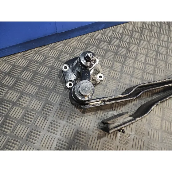 Ballesta Trasera para Nissan Cabstar Tl35