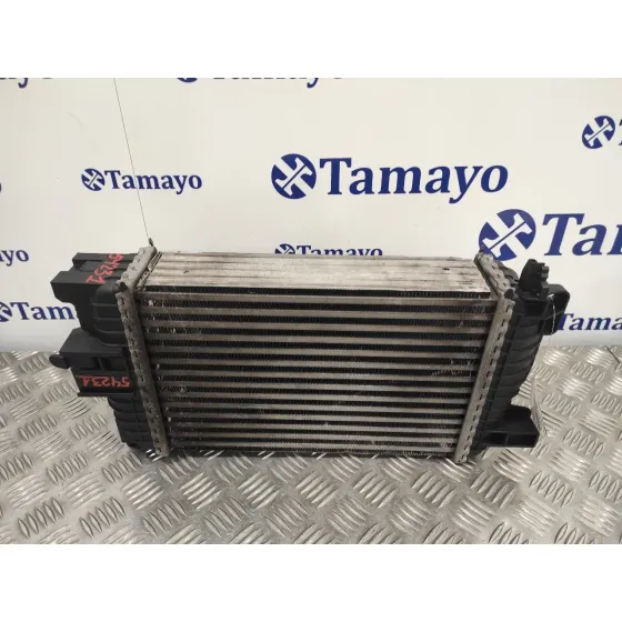 Intercooler para Opel Meriva B