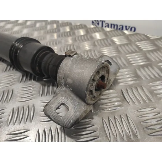 Amortiguador Trasero Derecho para Citroën Ds4
