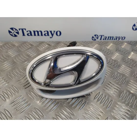 Maneta Exterior Porton para Hyundai Ioniq