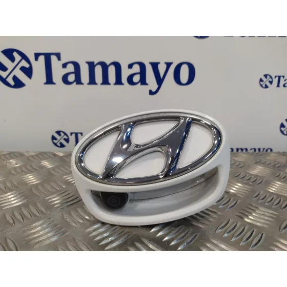 Maneta Exterior Porton para Hyundai Ioniq