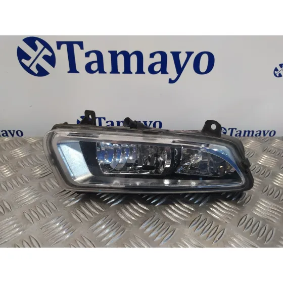 Faro Antiniebla Derecho para Volkswagen Polo (6R1)