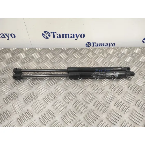 Amortiguadores Maletero / Porton para Hyundai Ioniq
