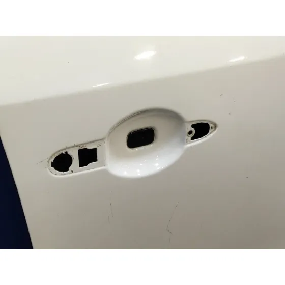 Puerta Delantera Derecha para Renault Fluence