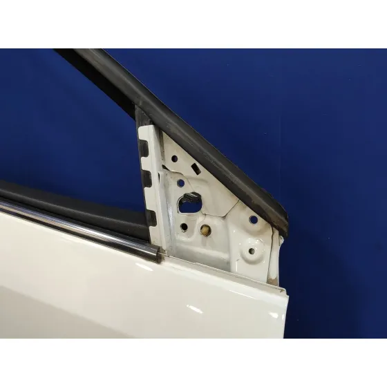 Puerta Delantera Derecha para Renault Fluence