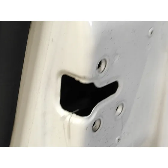Puerta Delantera Derecha para Renault Fluence