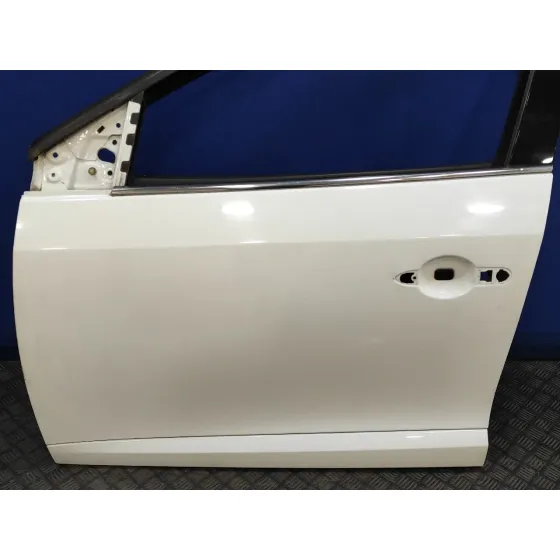 Puerta Delantera Izquierda para Renault Fluence