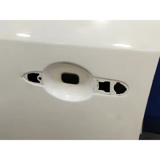 Puerta Delantera Izquierda para Renault Fluence