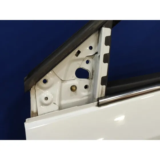 Puerta Delantera Izquierda para Renault Fluence