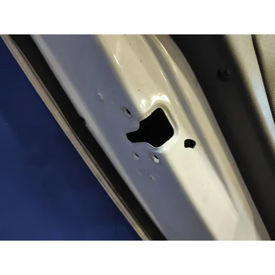 Puerta Trasera Izquierda para Renault Fluence
