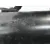 Motor Arranque para Fiat Bravo (198)