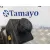 Bomba Direccion para Ssangyong Actyon