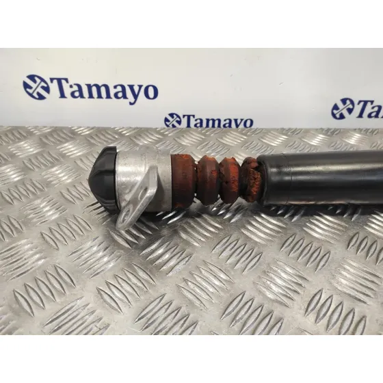 Amortiguador Trasero Izquierdo para Seat Toledo (Kg3)