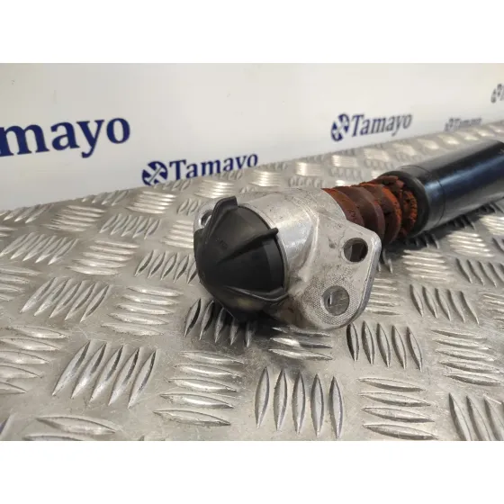 Amortiguador Trasero Izquierdo para Seat Toledo (Kg3)