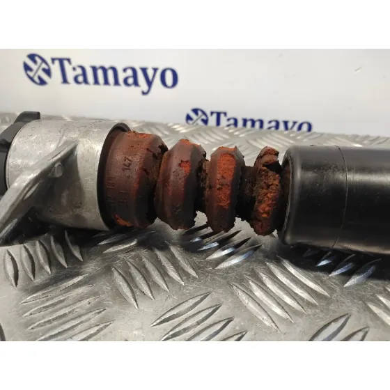 Amortiguador Trasero Izquierdo para Seat Toledo (Kg3)