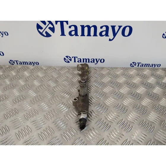Rampa Inyectora para Opel Meriva B