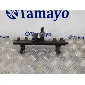 Rampa Inyectora para Ford Kuga (Cbv)