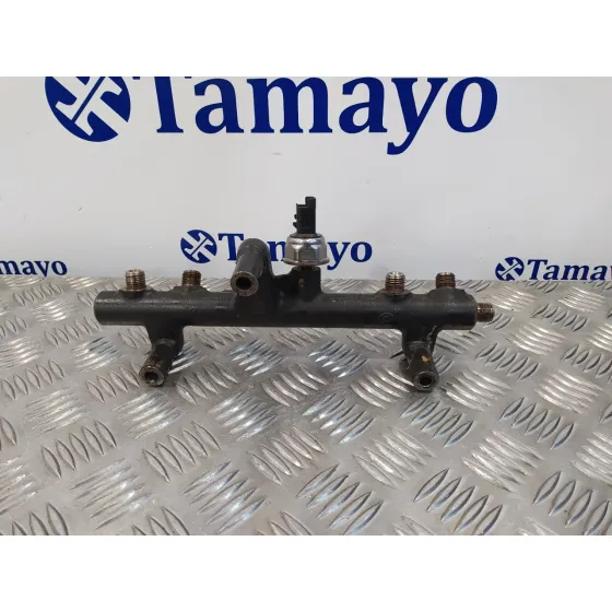 Rampa Inyectora para Ford Kuga (Cbv)