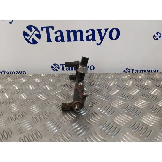Rampa Inyectora para Ford Kuga (Cbv)
