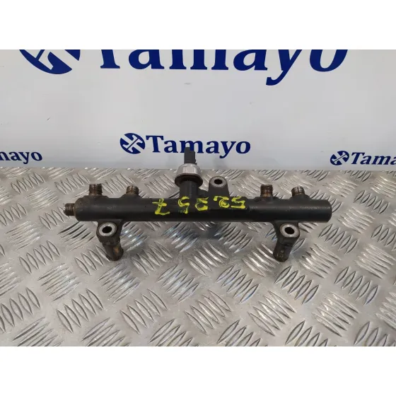 Rampa Inyectora para Ford Kuga (Cbv)