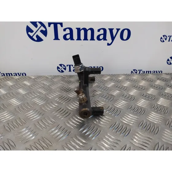 Rampa Inyectora para Ford Kuga (Cbv)