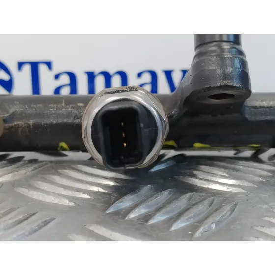 Rampa Inyectora para Ford Kuga (Cbv)