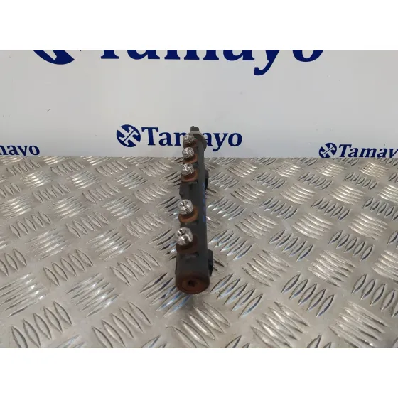 Rampa Inyectora para Ford Fiesta (Cb1)