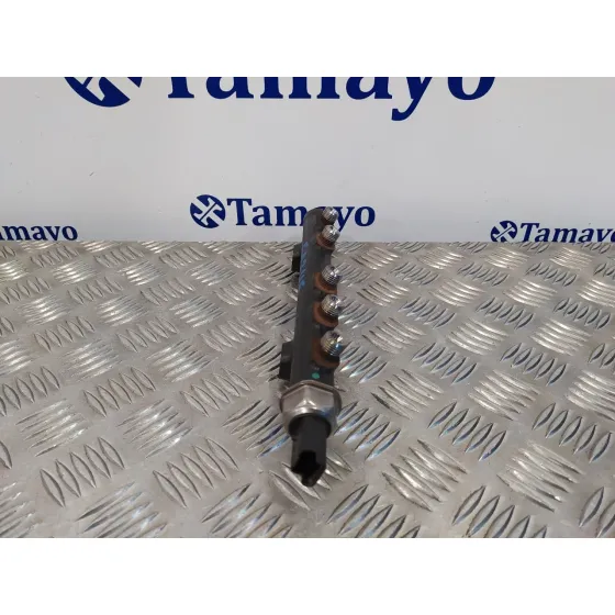Rampa Inyectora para Ford Fiesta (Cb1)