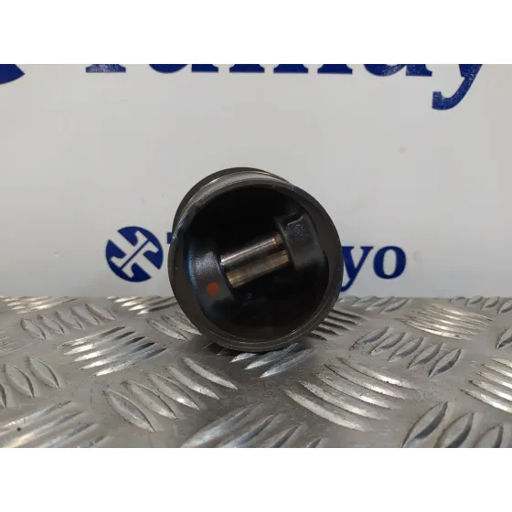 Piston para Citroën Nemo