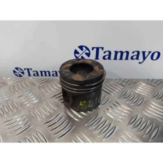 Piston para Citroën Nemo