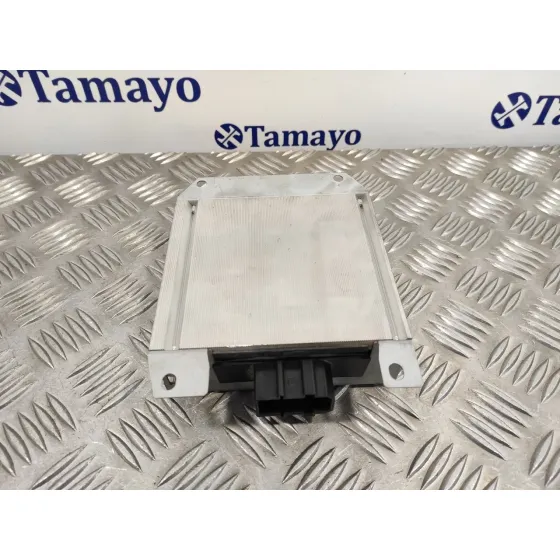Modulo Electronico para Audi A4 Avant (8E)