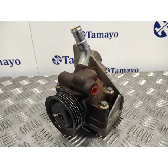 Bomba Direccion para Ford Fiesta (Cbk)