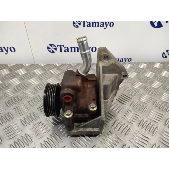 Bomba Direccion para Ford Fiesta (Cbk)