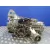 Caja Cambios para Audi A4 Berlina (B5)