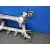 Puente Trasero para Bmw Serie 5 Berlina (E60)