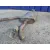 Tubo Escape Completo para Seat Leon (5F1)