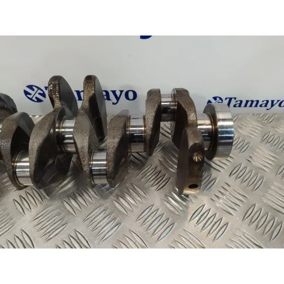 Ciguenal para Hyundai Ioniq