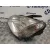 Faro Izquierdo para Ford Focus C-Max (Cap)