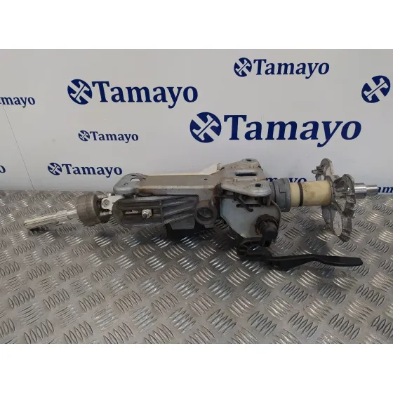 Columna Direccion para Bmw Serie 5 Berlina (E60)