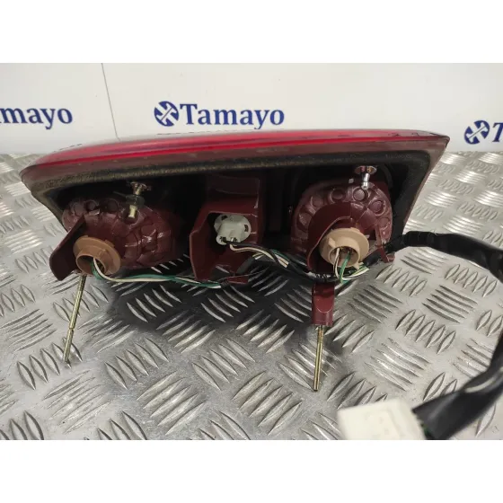 Piloto Trasero Izquierdo para Toyota Rav 4 (A2)