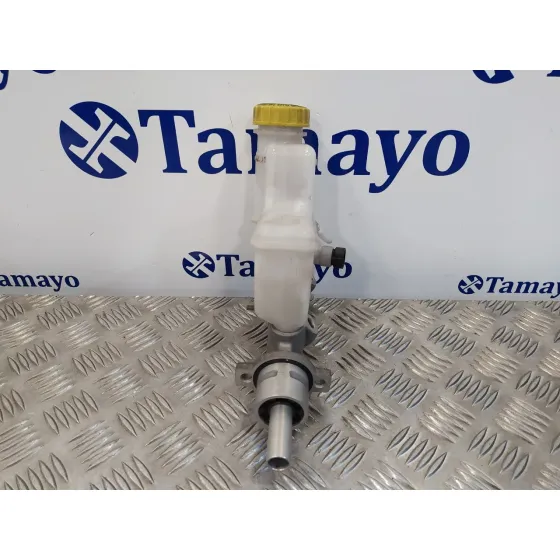 Bomba Freno para Fiat Bravo (198)