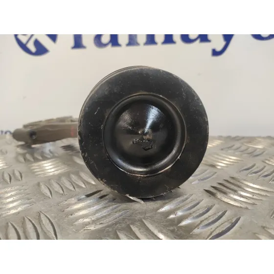 Piston para Seat Altea Xl (5P5)