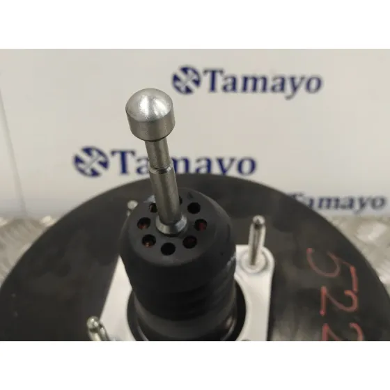 Servofreno para Fiat Bravo (198)